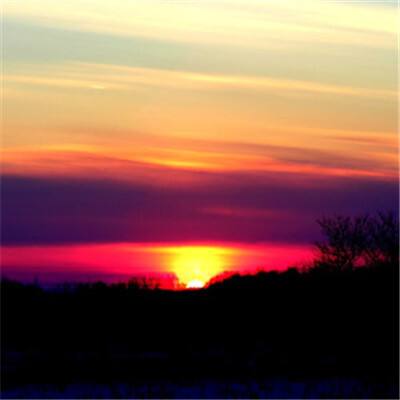 三张牌下载金花免费手机app下载