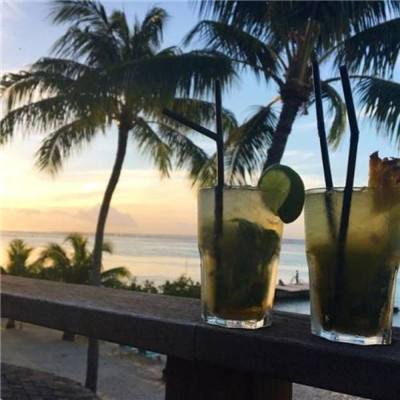 波胆app官网手机app下载截图