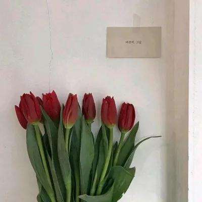 pg电子娱乐·(中国)游戏平台