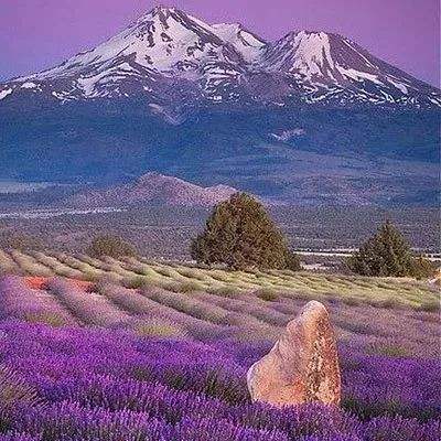 安博.体育app下载